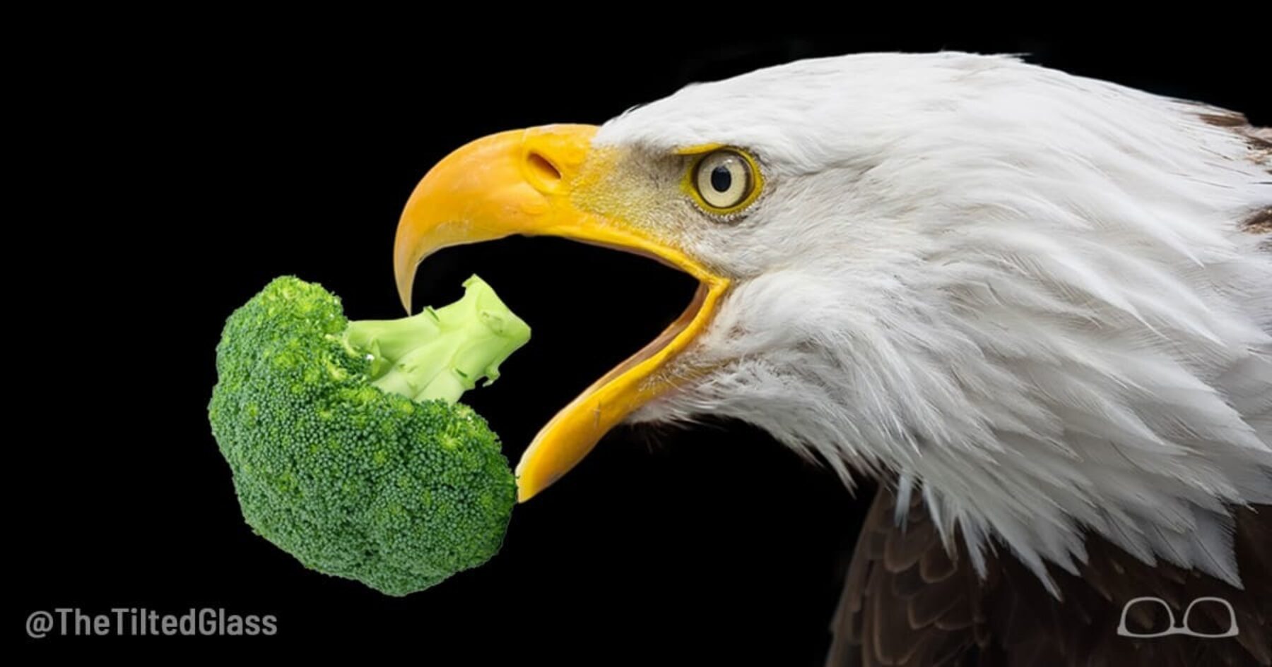 Russian Troll Accidentally Makes Broccoli Political