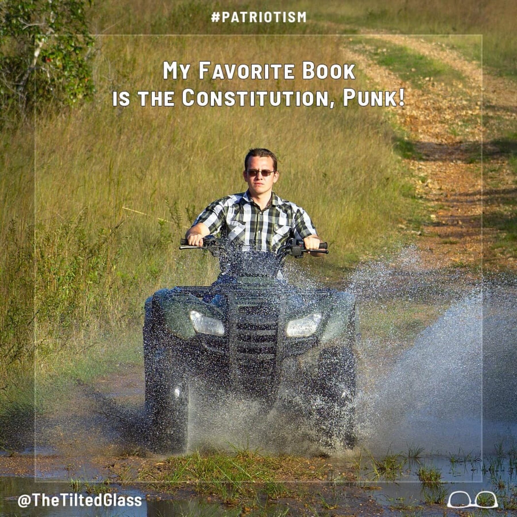 My Favorite Book is the Constitution, Punk!