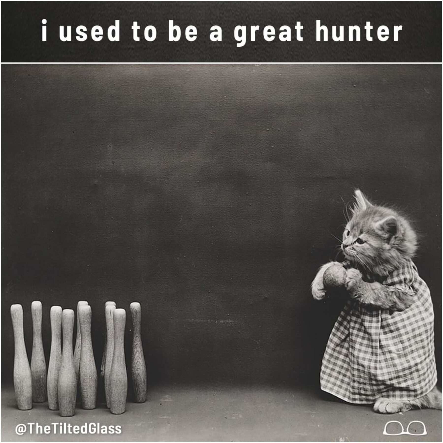 i used to be a great hunter
