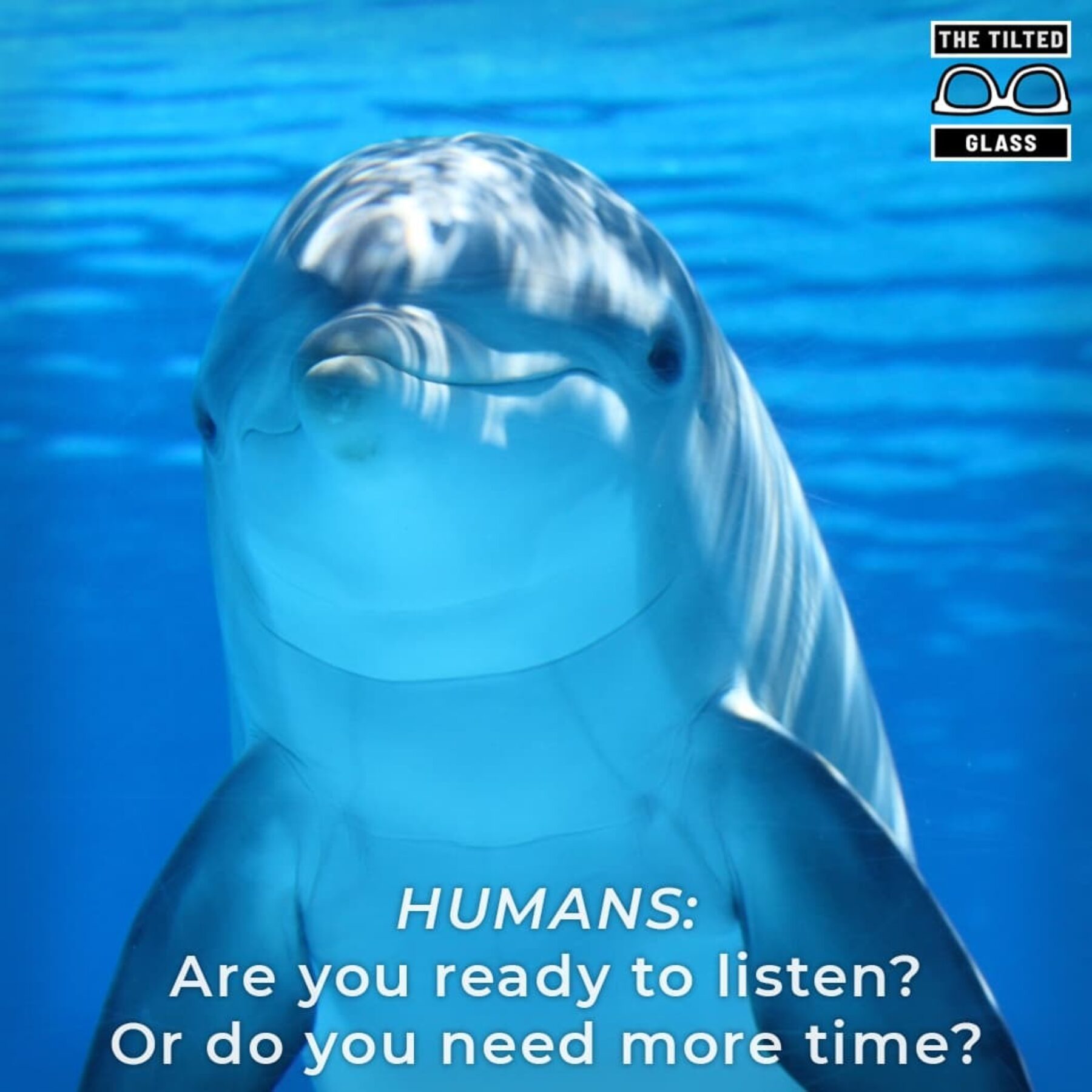 HUMANS: Are you ready to listen? Or do you need more time?