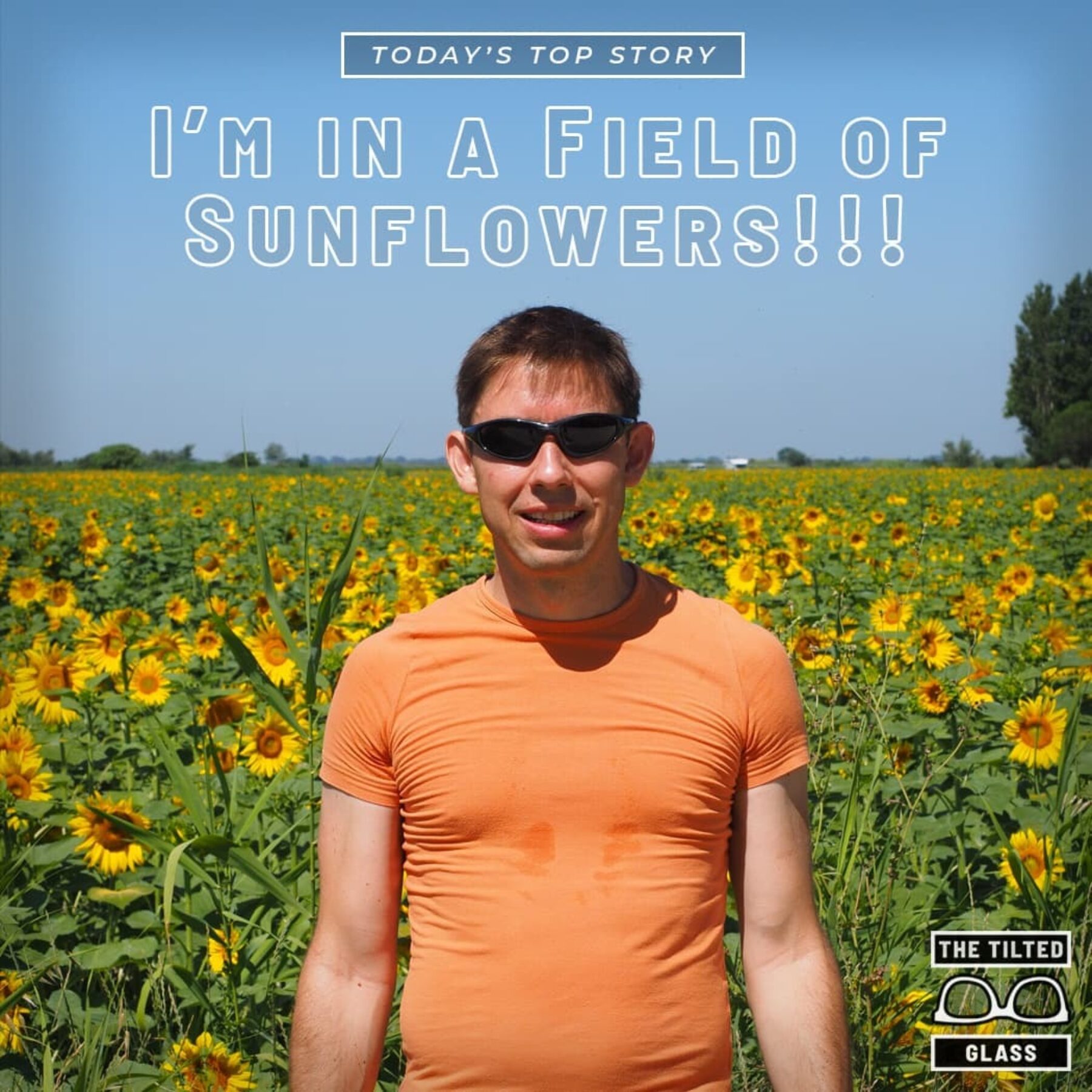 Today's Top Story: I’m in a Field of Sunflowers!!!