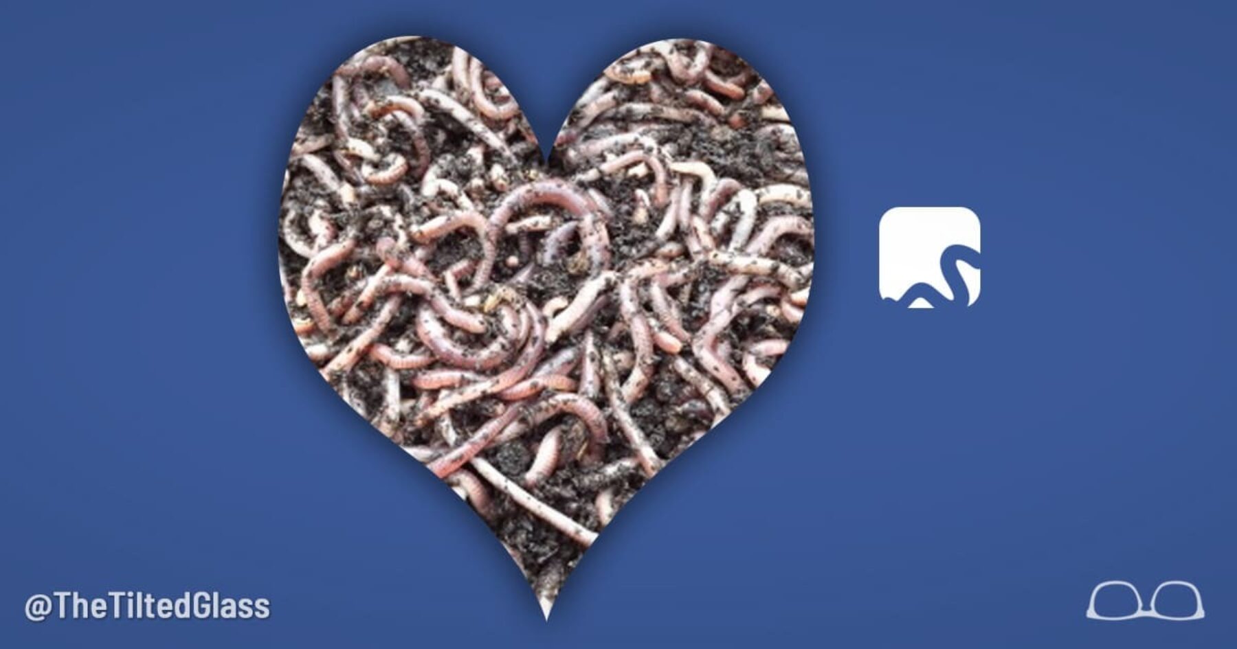 Facebook Changes Name to HeartWorm