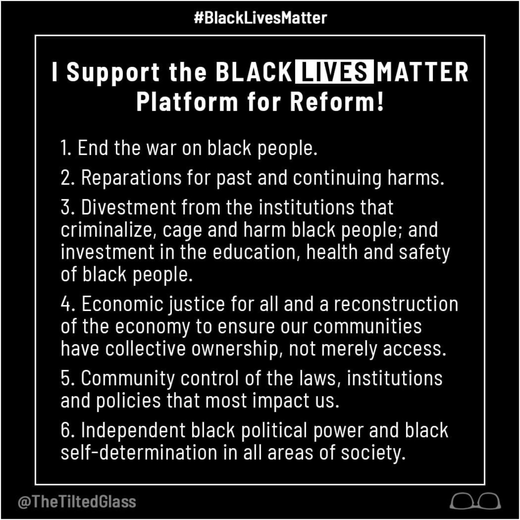 I Support The #BlackLivesMatter Platform for Reform!