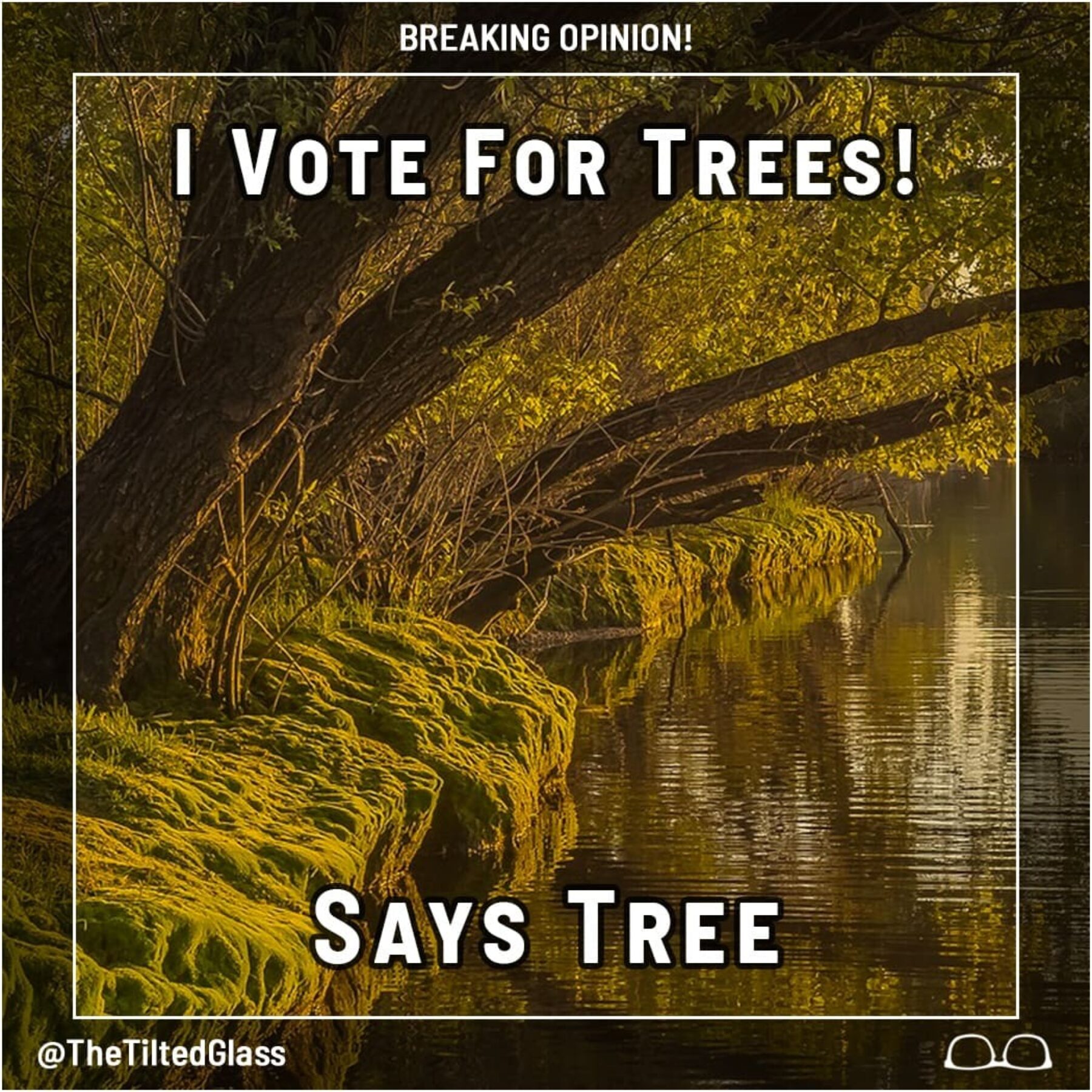 I Vote For Trees! Says Tree