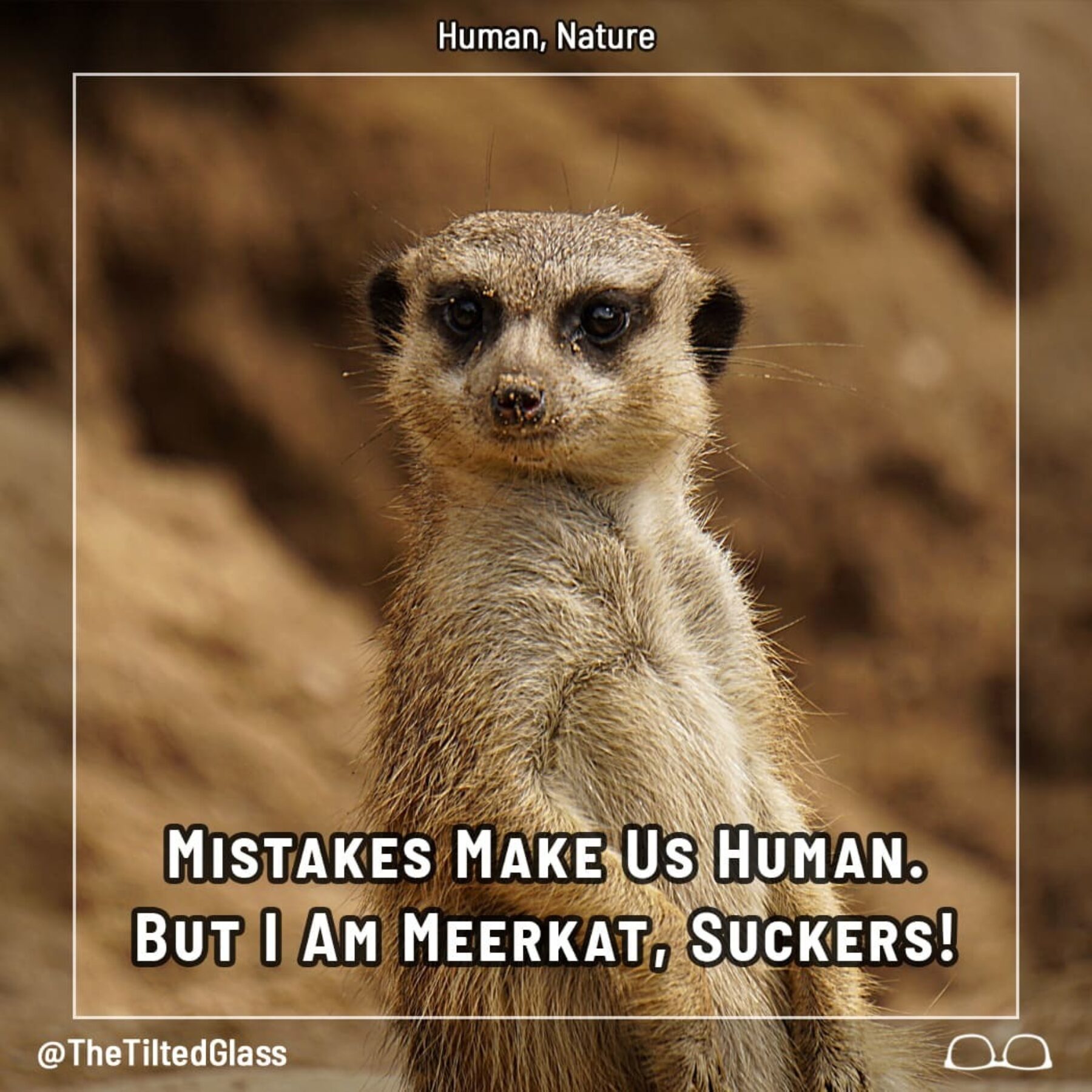 Mistakes Make Us Human. But I Am Meerkat, Suckers!