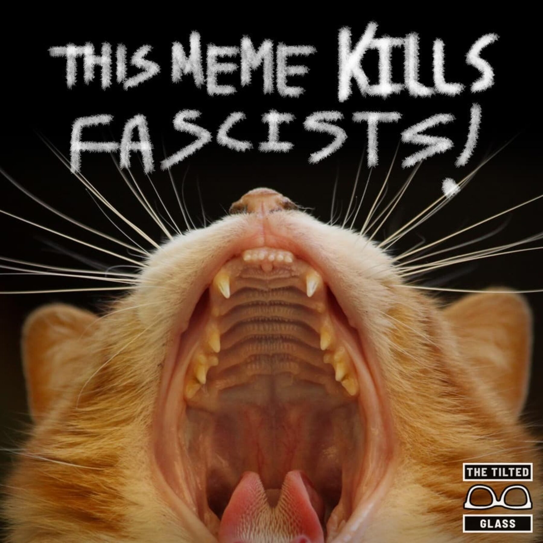 This Meme Kills Fascists