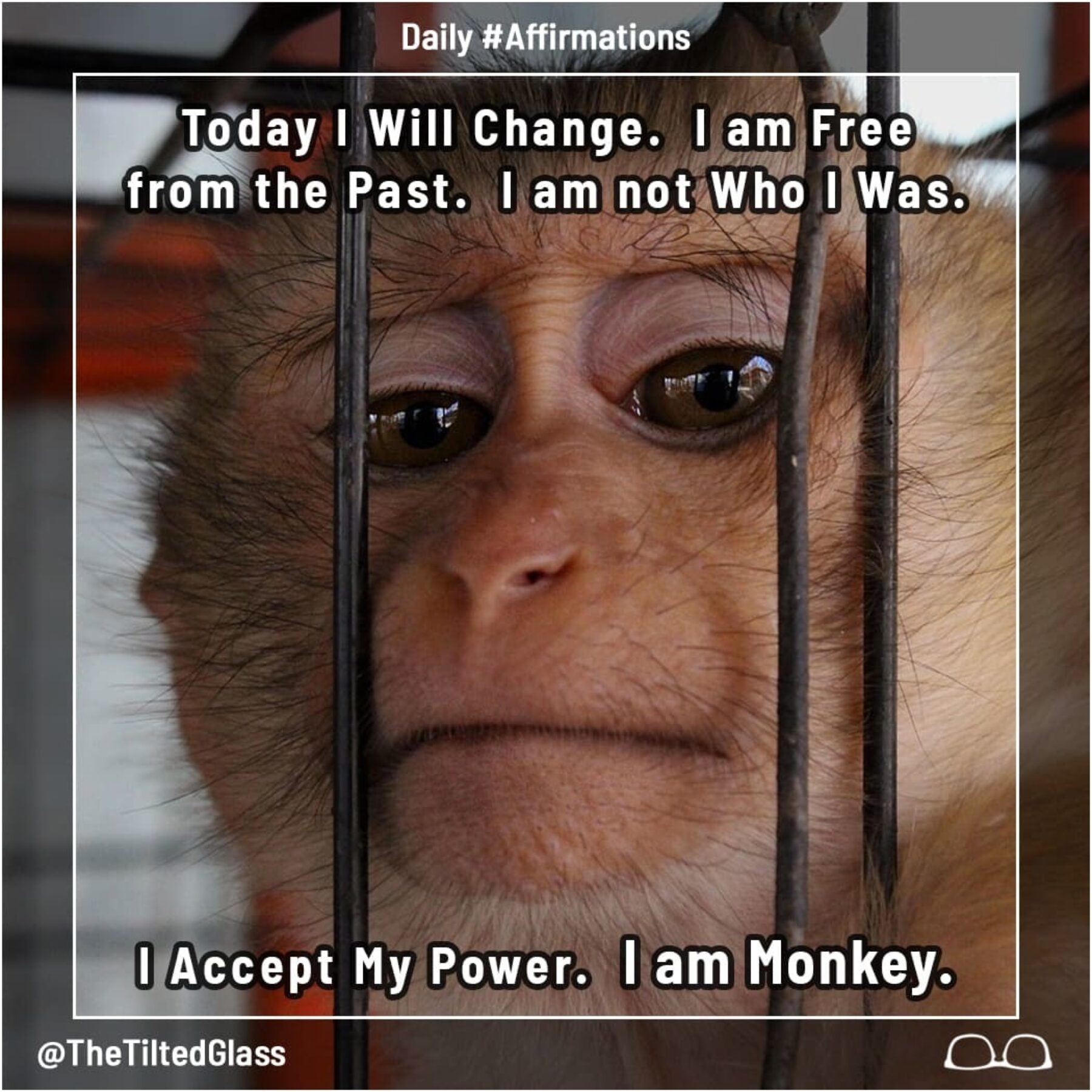 Today I Will Change.  I am Free from the Past.  I am not Who I Was.  I Accept My Power.  I am Monkey.