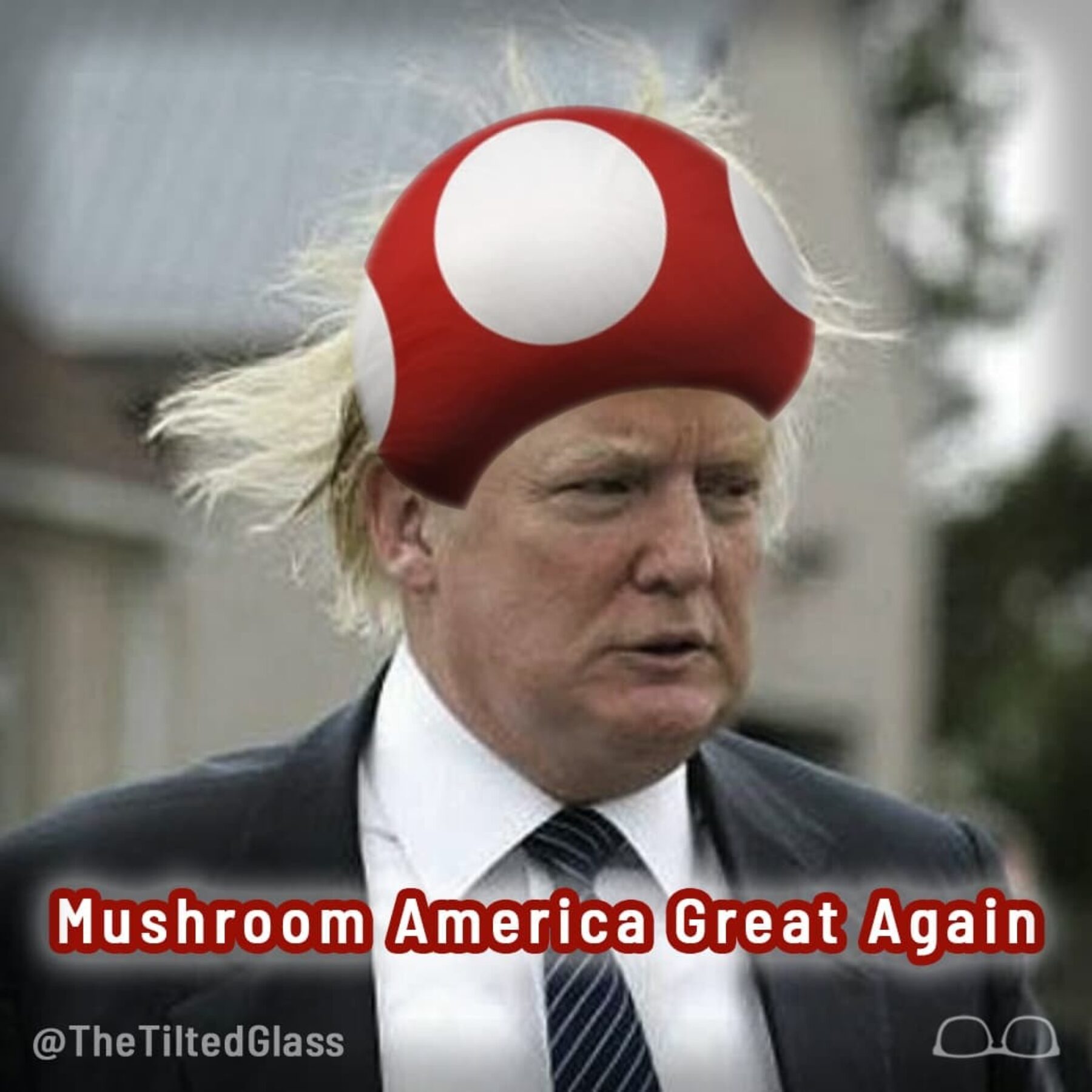 Mushroom America Great Again