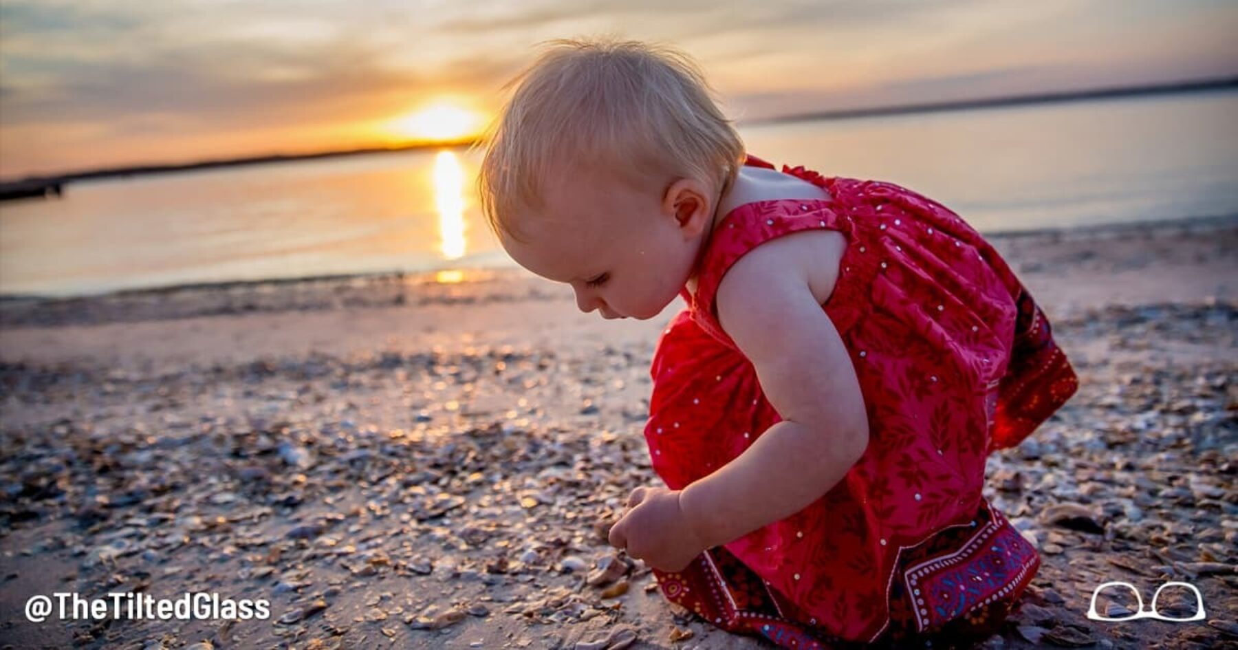 Searching for that Seashell