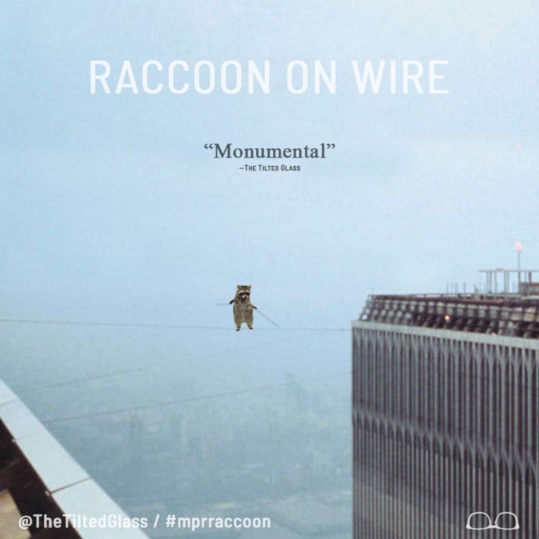 Raccoon on Wire
