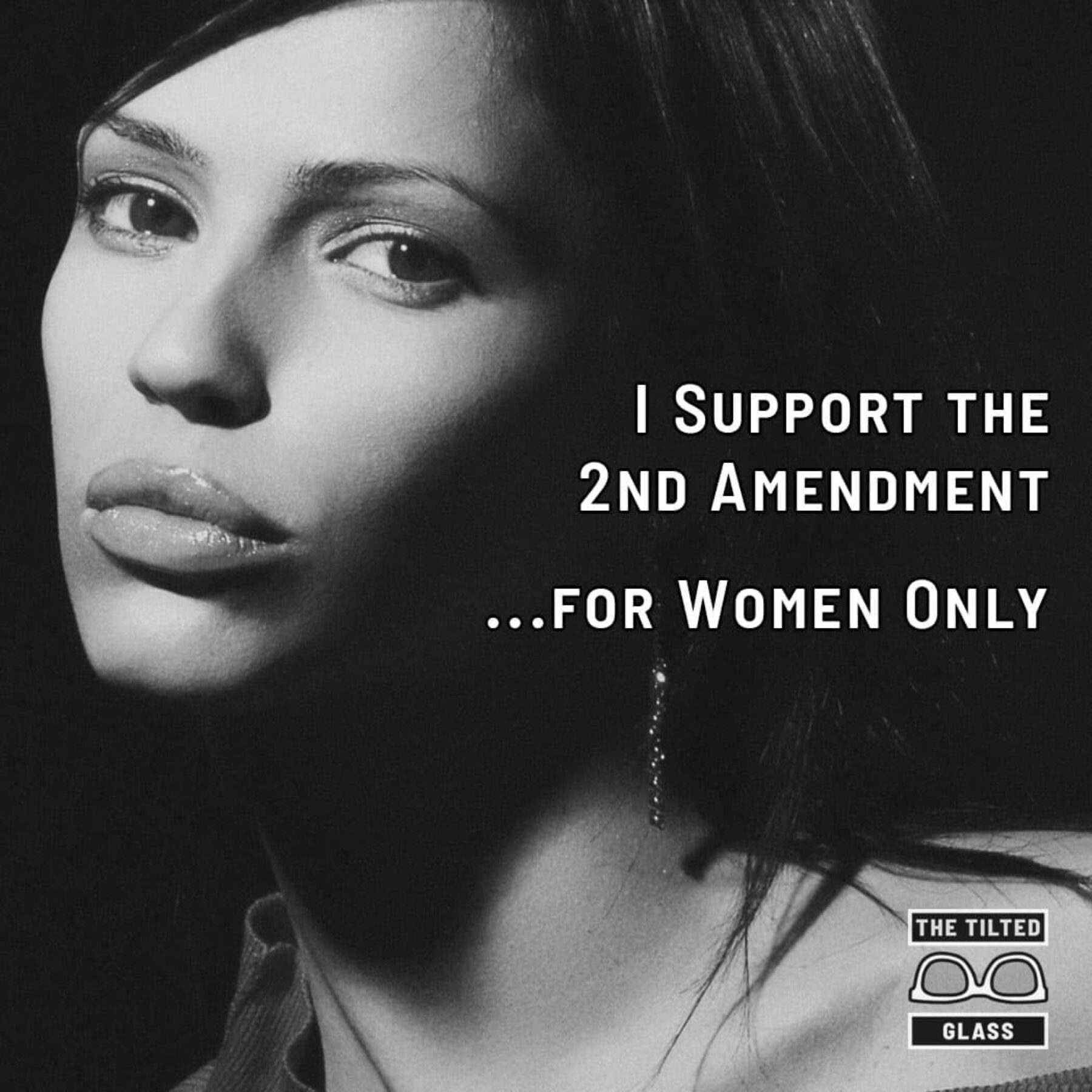I Support the 2nd Amendment ...for Women Only