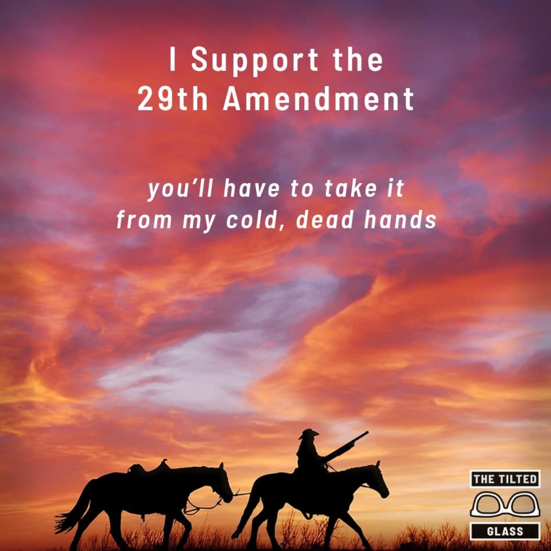 I Support the 29th Amendment