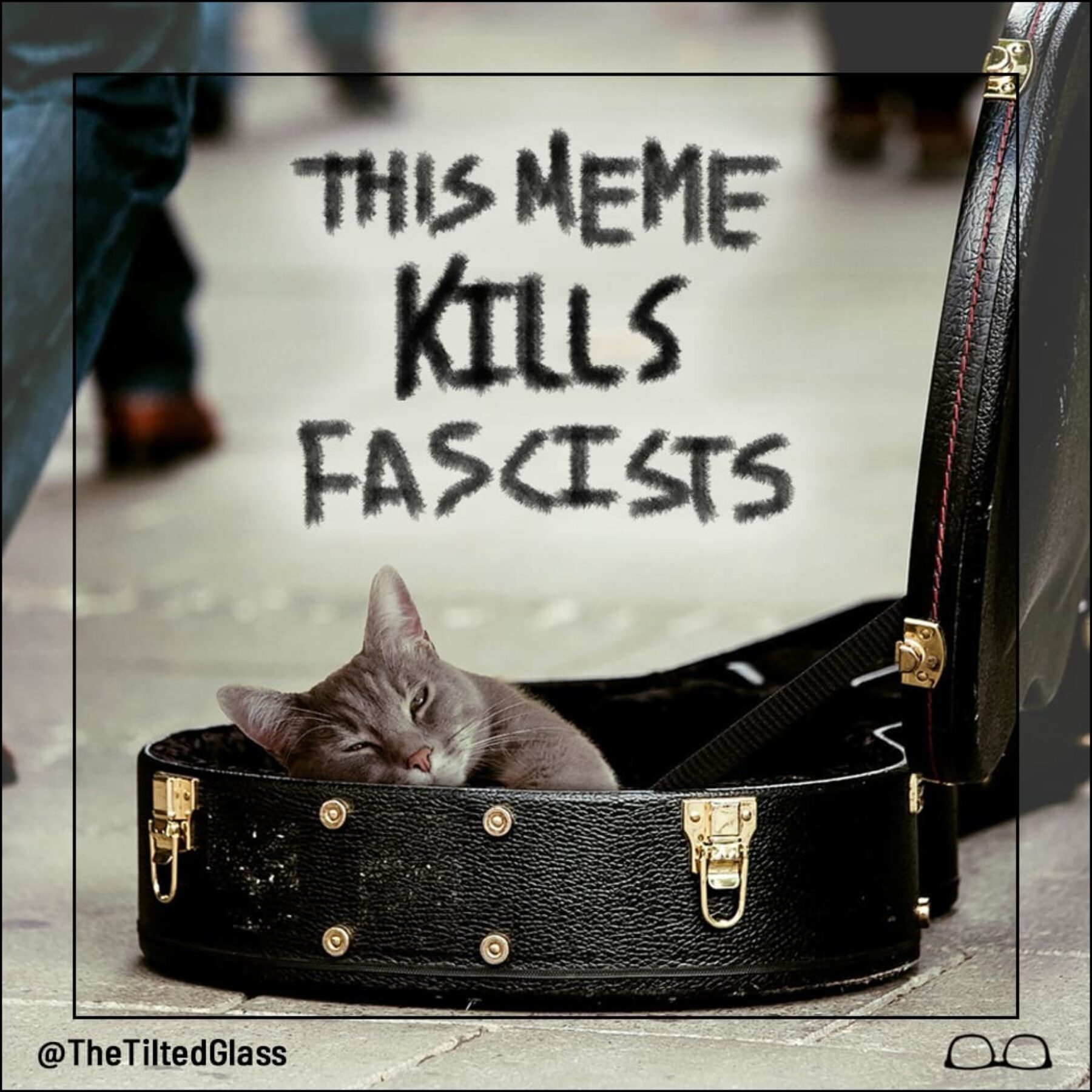 This Meme Kills Fascists