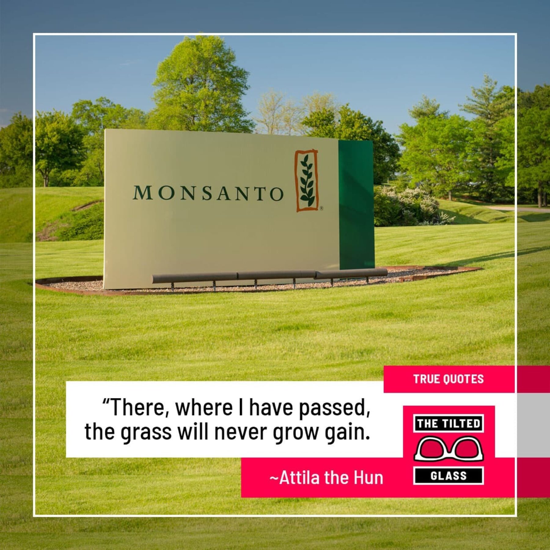 Monsanto: "There, where I have passed, the grass will never grow gain."