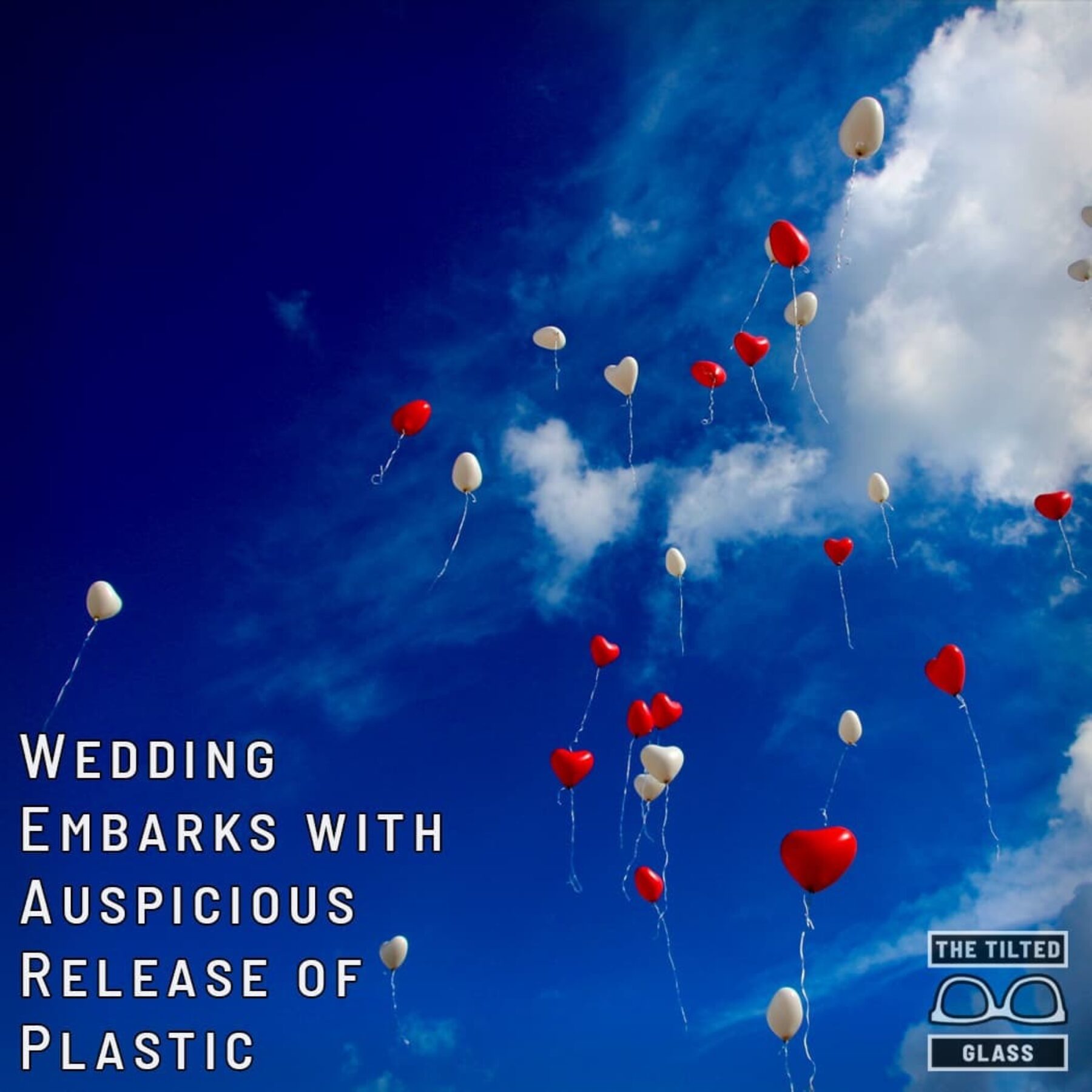 Wedding Embarks with Auspicious Release of Plastic