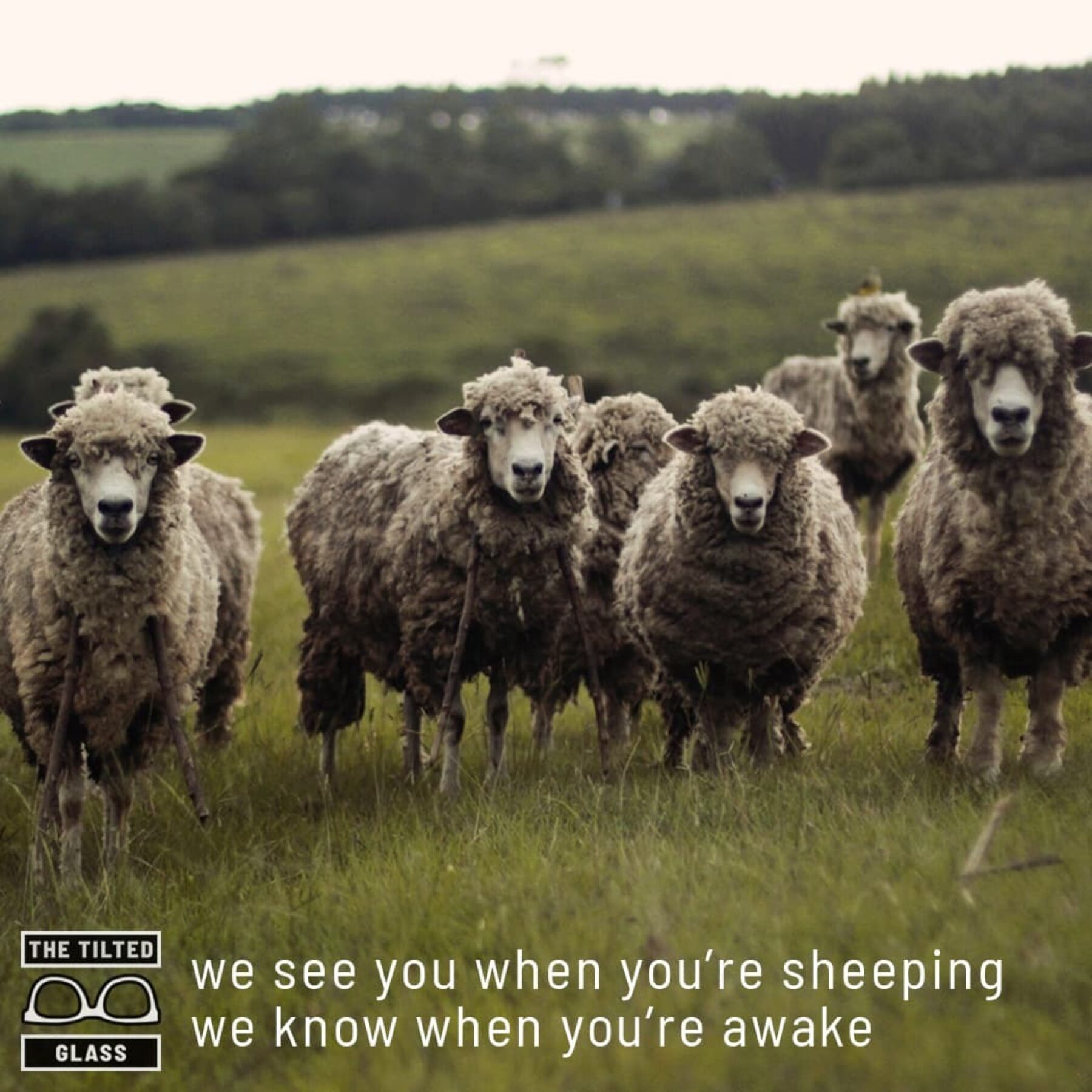 we see you when you’re sheeping we know when you’re awake