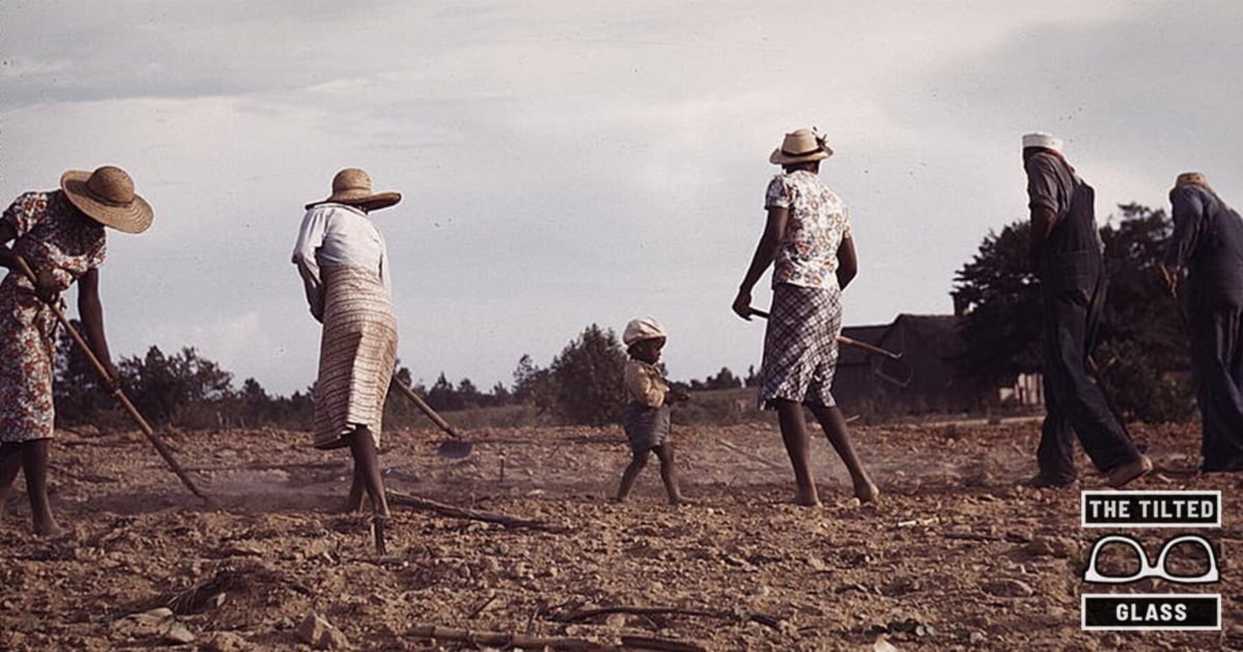 White-Owned Cannabis Business Seeks Black Prison Labor