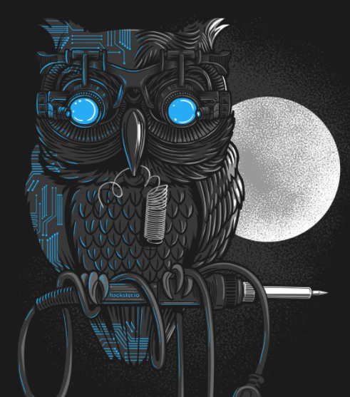 owl-hacker.png#asset:308